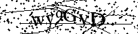 Typ hieronder de letters en cijfers
