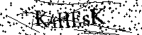 Typ hieronder de letters en cijfers