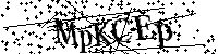 Typ hieronder de letters en cijfers