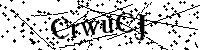 Typ hieronder de letters en cijfers