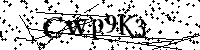 Typ hieronder de letters en cijfers