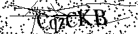Typ hieronder de letters en cijfers