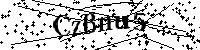 Typ hieronder de letters en cijfers
