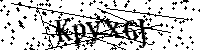 Typ hieronder de letters en cijfers