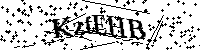 Typ hieronder de letters en cijfers