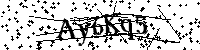 Typ hieronder de letters en cijfers